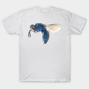 Cuckoo Wasp Digital Painting T-Shirt